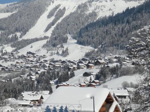 Duplex 5 pièces 11 pers, sauna, parking, animaux admis