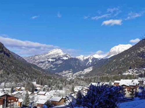 Studio cosy 4 pers à Châtel avec terrasse et parking