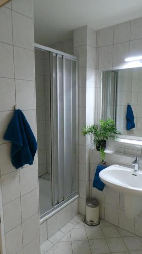 a bathroom with a shower and a sink at Dorfplatz Top 38 in Königsleiten