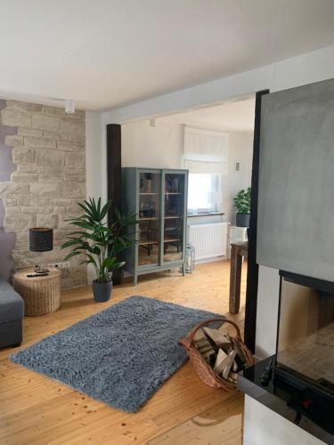 a living room with a flat screen tv and a rug at Auszeit Deluxe in Kirchheim unter Teck