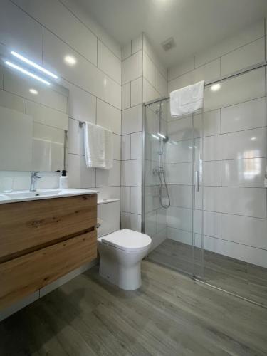 a bathroom with a toilet and a shower and a sink at Lord Freitas in Funchal