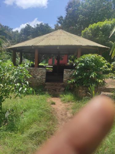 Aed väljaspool majutusasutust La montagne verte