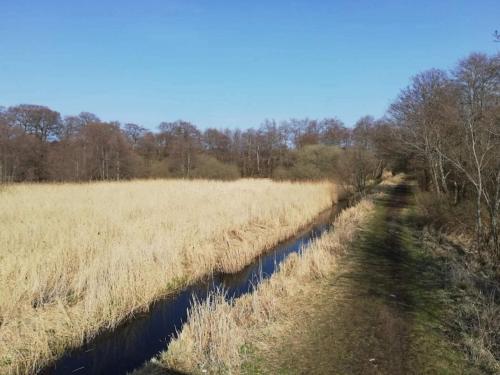 a path through a field of tall grass next to a river at 6 person holiday home in Ebeltoft-By Traum in Ebeltoft