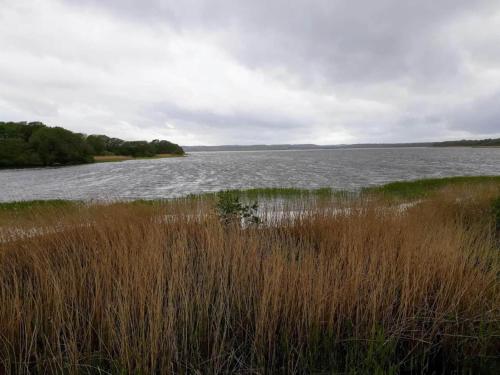 a view of a large body of water with tall grass at 6 person holiday home in Ebeltoft in Ebeltoft