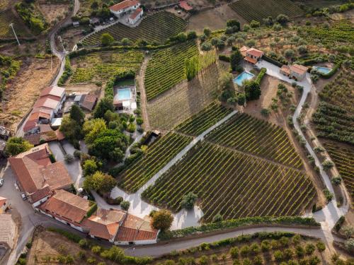 an aerial view of a estate with a vineyard at Casa de Sao Miguel Douro in Armamar