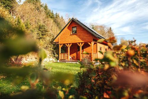 ストロニエ・シロンスキエにあるChatka mojego dziadkaの畑の中の小さな木造小屋