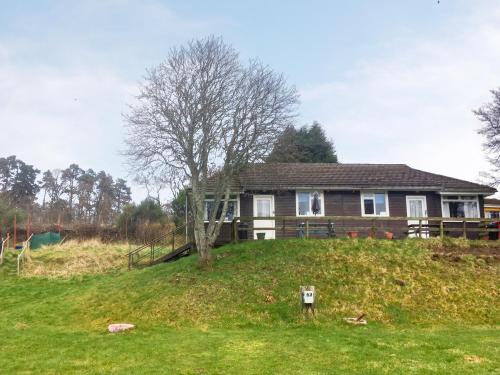 een huis op een grasheuvel met een boom bij Loch Ness - Uk7094 in Contin
