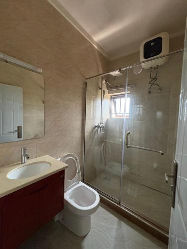 阿布贾Newcamp Hotel and Apartments的带淋浴、马桶和水槽的浴室