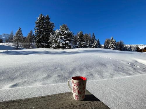 Chalet rénové, charme montagnard et confort moderne في لو ديفولي: كوب قهوة موضوع على حافة في الثلج