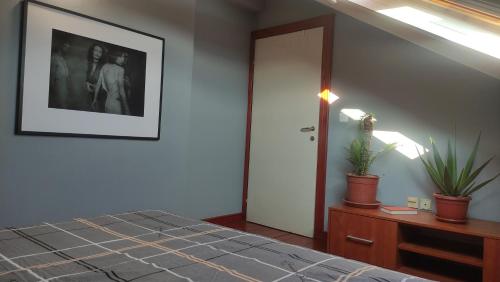 Gallery image of Woodpecker Hostel Montenegro in Zelenika