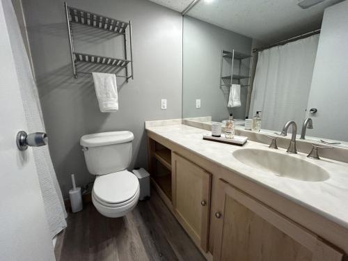 a bathroom with a toilet and a sink and a mirror at Lake Views Close to Weirs in Cedar Lodge Complex in Laconia