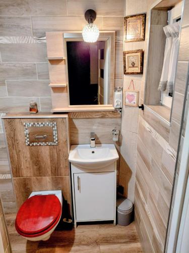 a small bathroom with a toilet and a sink at Agroturystyka u Cezarego in Liniewo