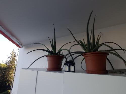 Imagen de la galería de Habitación 1 en piso compartido con acceso Zonas comunes, en Marbella