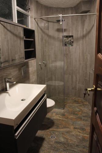 a bathroom with a shower and a sink and a toilet at Departamento La República in Cuenca