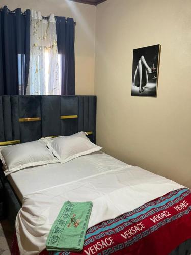 Postel nebo postele na pokoji v ubytování Aristo Immobilier