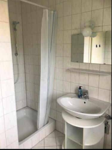 a bathroom with a sink and a shower next to a sink at Mühlenblick in Dänschendorf
