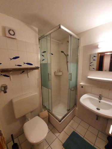 a bathroom with a shower and a toilet and a sink at Kajüte 4 in Lemkenhafen auf Fehmarn