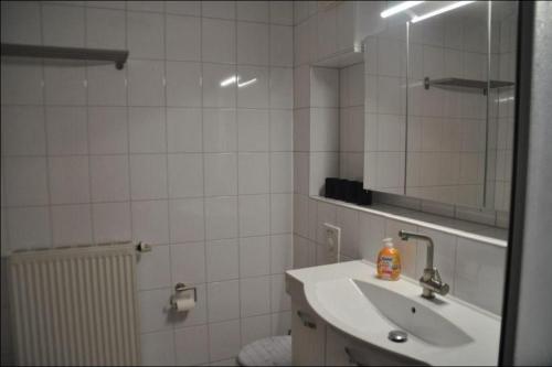 une salle de bain avec un lavabo et un miroir dans l'établissement Orth C24, à Orth