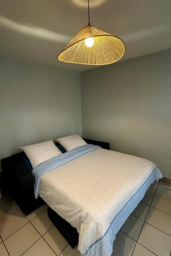 a bedroom with a bed and a light fixture at Centre ville - Berthelot in Chamalières