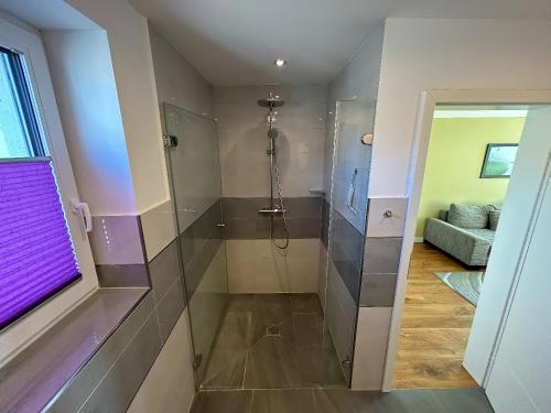 a bathroom with a shower with a glass door at Schöne Aussicht in Orth
