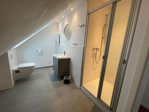 un bagno con doccia, WC e lavandino di Welcome a Petersdorf auf Fehmarn