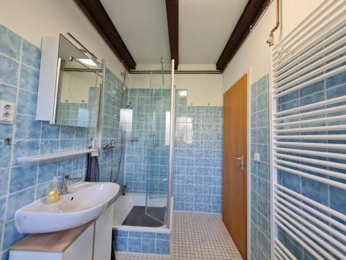 ein Badezimmer mit Waschbecken und Glasdusche in der Unterkunft Inselzeit in Vitzdorf