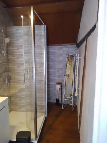 eine ebenerdige Dusche im Bad mit Spiegel in der Unterkunft La maison blanche in Nazelles