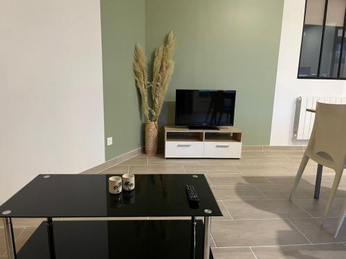 a living room with a coffee table and a tv at Appartement cosy rénové dans une ancienne longère in Chemilly-sur-Yonne