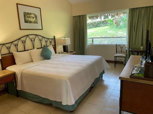 Postel nebo postele na pokoji v ubytování Hotel Villa Mercedes Palenque