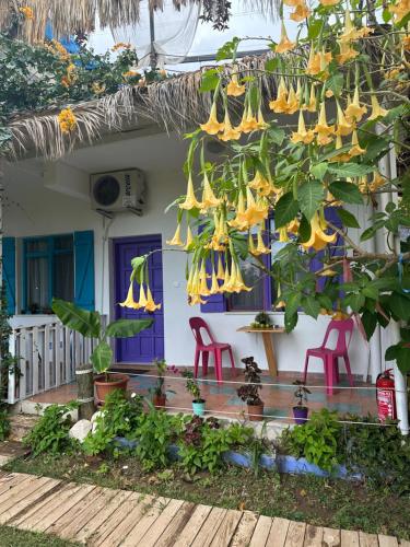 GAYA PANSİYON ÇIRALI