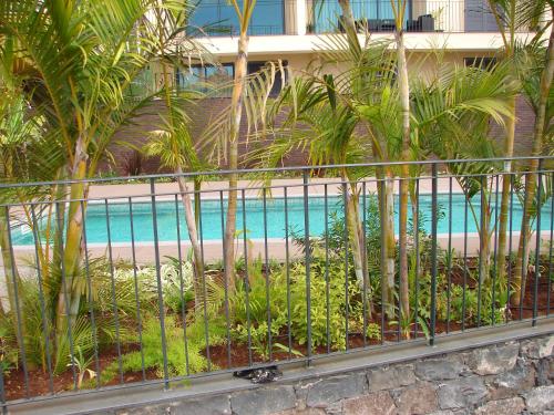 Funchal bay incredible view with pool