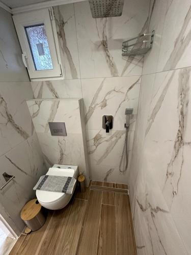 a white bathroom with a toilet and a window at Athos studio in Análipsis