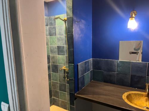 une salle de bain avec douche et lavabo dans l'établissement Maison Bonnefoy, à Toulouse