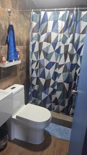 a bathroom with a toilet and a shower curtain at CABAÑA OSORNO Ruta 215 in Osorno