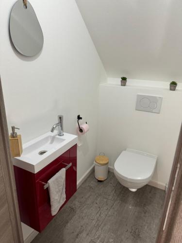 Un baño con inodoro, lavabo y espejo. en Appartement Le Belarya, en Wintzenheim