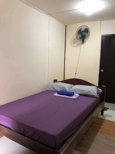 a bedroom with a bed with purple sheets and a fan at Cabugao guest house in El Nido
