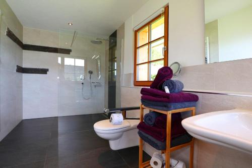 une salle de bain avec toilettes, lavabo et douche dans l'établissement Ferienwohnung Holzfäller, à Vorderfalkau