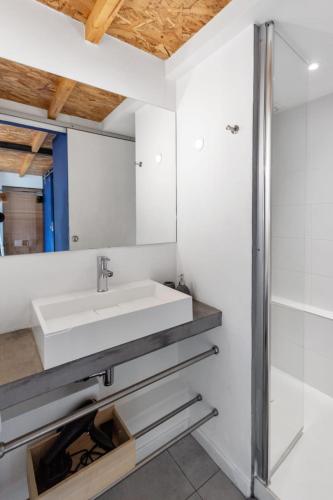 Le Garibaldi - City centre - Bright - AC