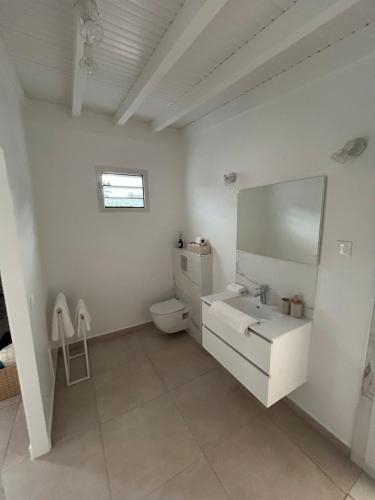a white bathroom with a sink and a toilet at Oasis in Petit-Bourg