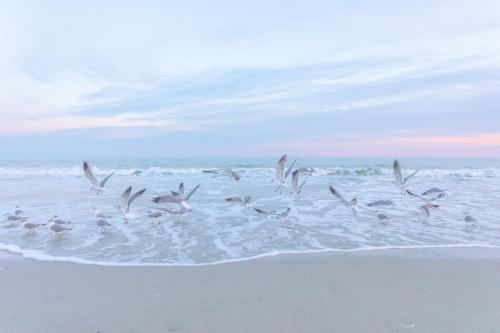 ONE More Sandy Day - 2BR 2BA Beach Condo, Sleeps 6 photo 91