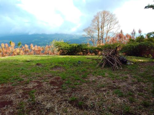 Φωτογραφία από το άλμπουμ του El Spot Orgánico σε Quesada