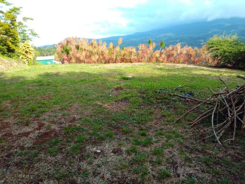 Φωτογραφία από το άλμπουμ του El Spot Orgánico σε Quesada