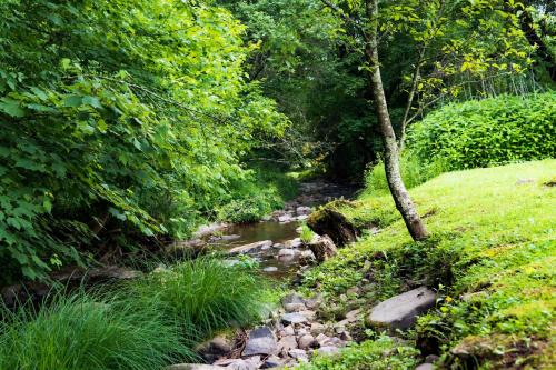 Příroda nedaleko bed and breakfast