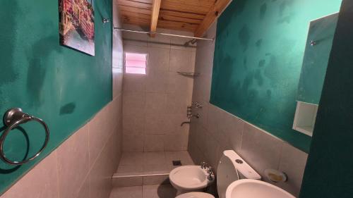 a green bathroom with a toilet and a shower at Espacio Inn zona Kempes in Córdoba
