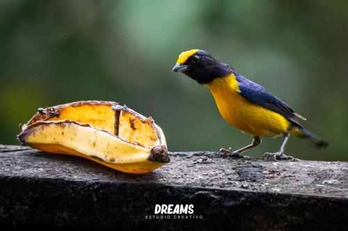 Φωτογραφία από το άλμπουμ του El Toro en Bicicleta σε San Miguel de los Bancos