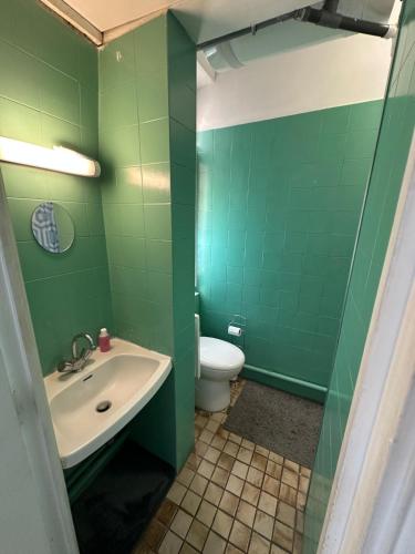 a green bathroom with a sink and a toilet at Appartement Lumineux, à 5 minutes de Paris in Asnières-sur-Seine