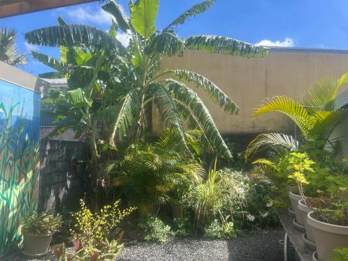 Zahrada ubytování Maison vue mer chaleureuse et confortable