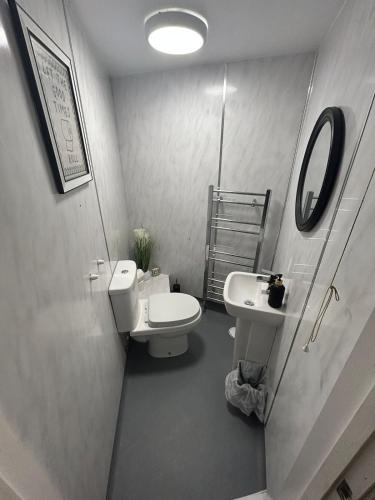 a bathroom with a toilet and a sink at Sandy Sunrise in Swansea