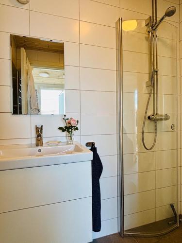 a bathroom with a sink and a shower at Gåsviken - Hven in Sankt Ibb