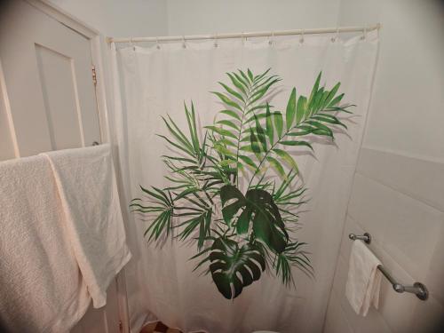 a bathroom with a shower curtain with a plant on it at Mirasol Guesthouse in Funchal